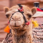 Las mil y una noches de mi abuelita