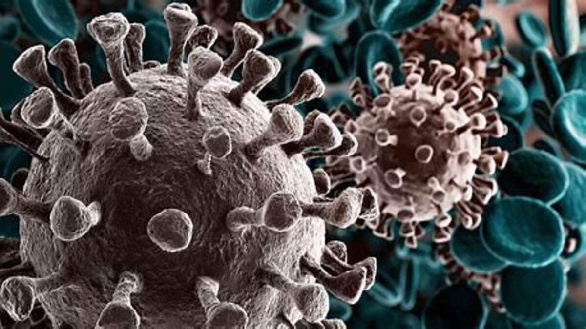 El deporte vs el COVID