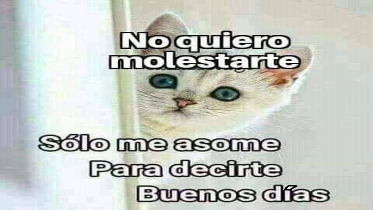 Si usted no es tía, ¡no haga esto!