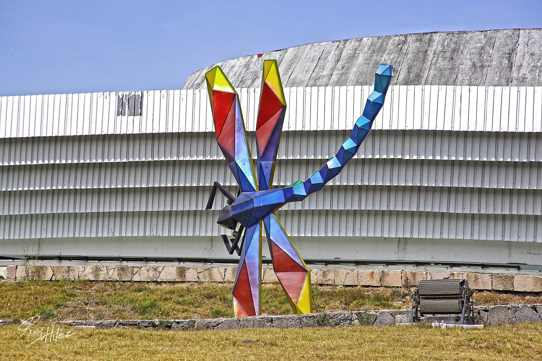 La libélula de Andriacci￼