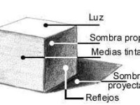 Pluma de gel blanca￼