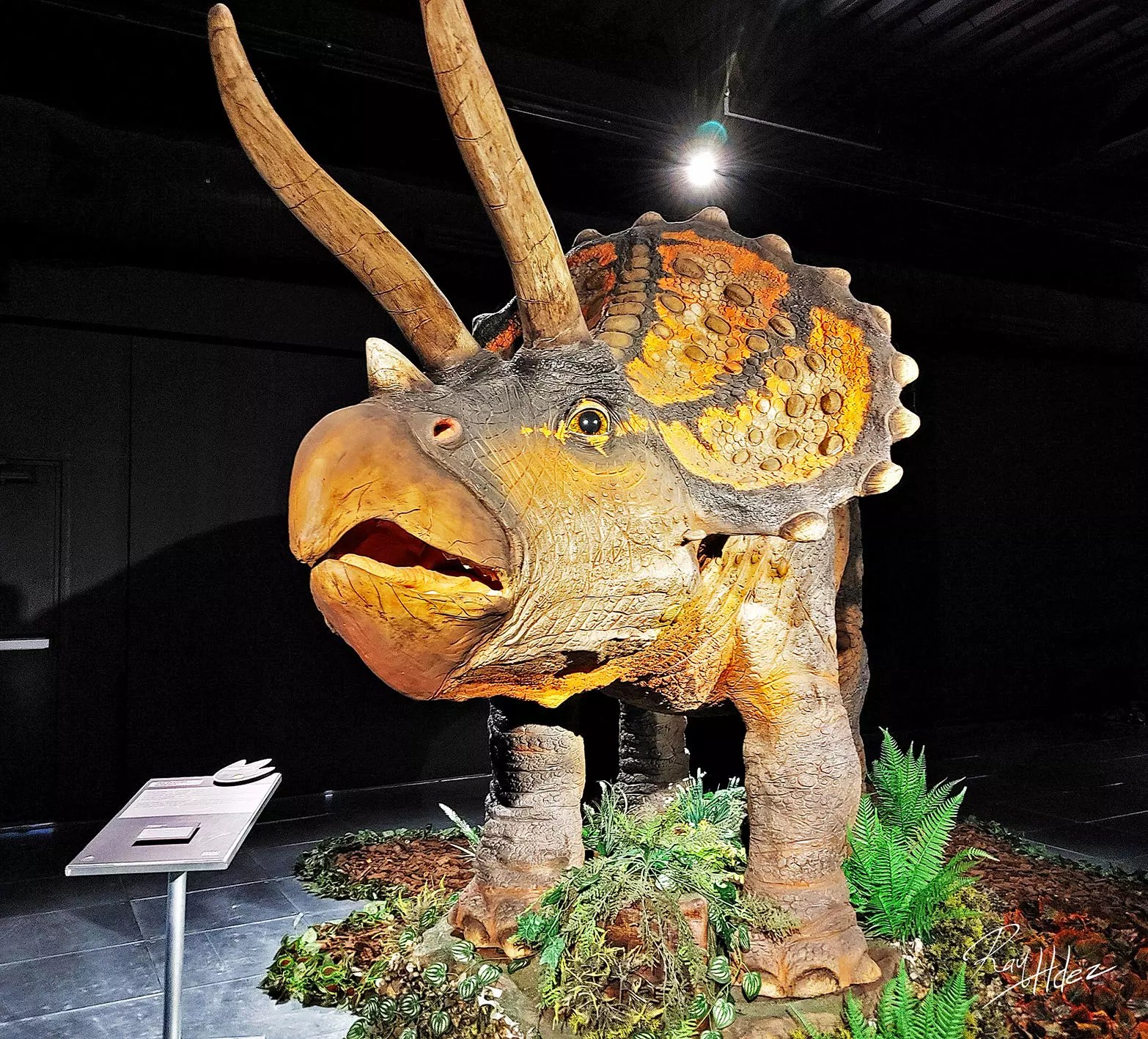 El dinosaurio animatrónico