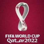 <strong><em>Datos curiosos de los mundiales de fútbol</em></strong>