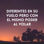 Hablemos de discapacidad