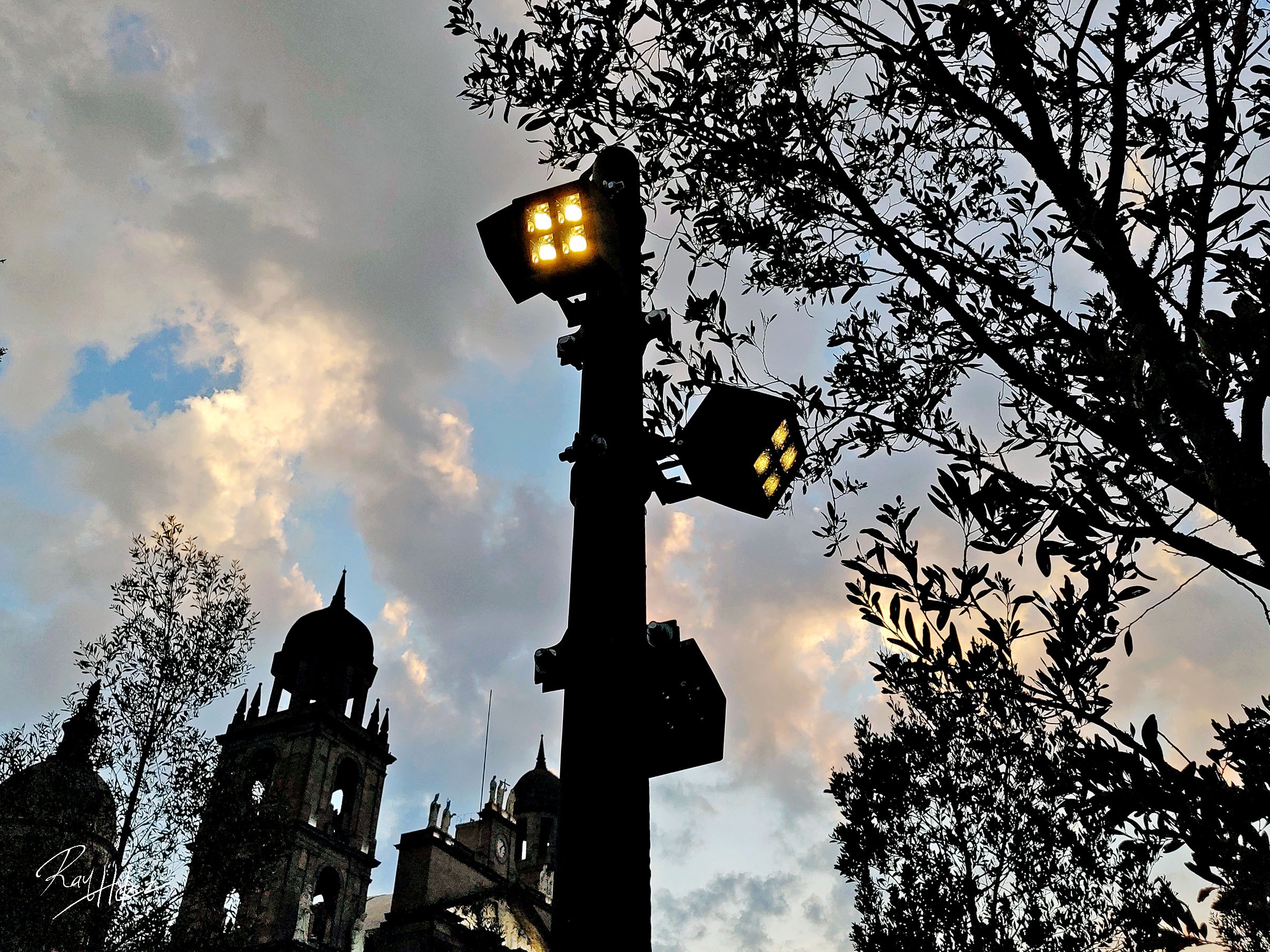 Luces de poste a contraluz