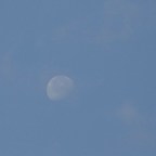 La luna de la mañana