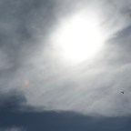 El sol, la nube y el ave